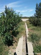 山东威海转让畜牧养殖果园蔬菜庄稼用地