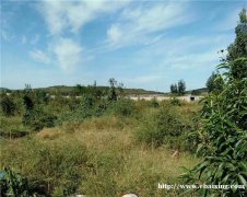山东威海转让畜牧养殖果园蔬菜庄稼用地