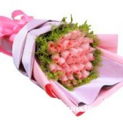 镇宁路长宁区镇宁路绿植花卉植物租赁植物租摆养护室内 镇宁路长宁区镇宁路绿植花卉植物租赁植物租摆养护室内