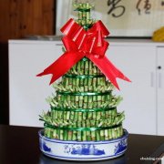 上海曹家渡花卉植物租赁曹家渡绿植植物租摆养护室内长宁区出租
