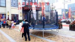 太原大型鲸鱼岛出租迷你7彩鲸鱼岛租赁