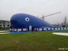 成都最新粉萌猪乐园大型充气鲸鱼岛设备租赁 成都最新粉萌猪乐园大型充气鲸鱼岛设备租赁