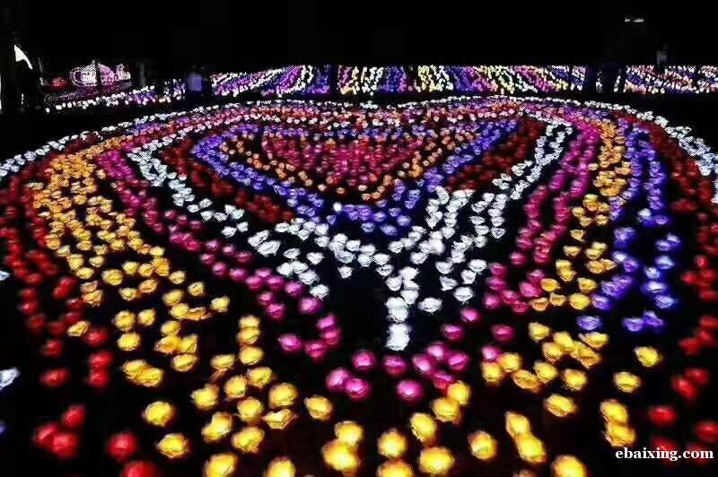 成都音乐控制动感时光隧道出租灯光展出售发光玫瑰花海低价出租 成都音乐控制动感时光隧道出租灯光展出售发光玫瑰花海低价出租