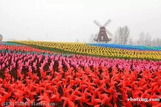 成都网红七彩色板彩虹滑道出租金牌旋转风车展道具低价出租 成都网红七彩色板彩虹滑道出租金牌旋转风车展道具低价出租
