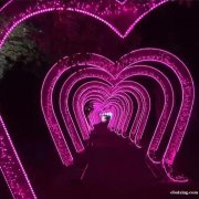 成都音乐控制动感时光隧道出租灯光展出售发光玫瑰花海低价出租 成都音乐控制动感时光隧道出租灯光展出售发光玫瑰花海低价出租