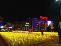 成都音乐控制动感时光隧道出租灯光展出售发光玫瑰花海低价出租 成都音乐控制动感时光隧道出租灯光展出售发光玫瑰花海低价出租
