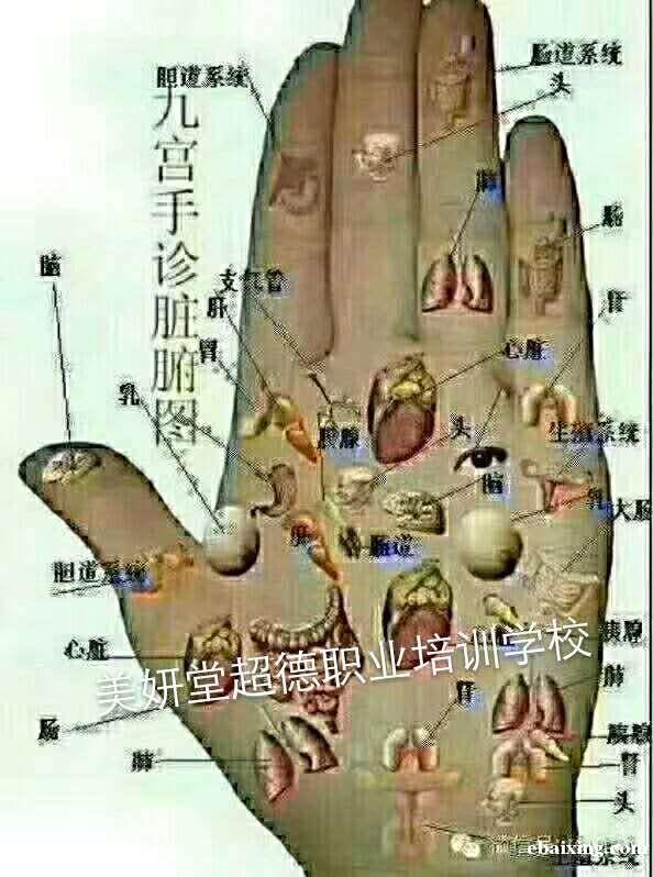 东莞东坑最专业负责任的美容化妆纹绣学校 东莞东坑最专业负责任的美容化妆纹绣学校