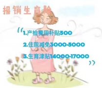 代缴社保公积金报销生育险