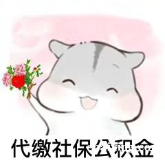 代理社保公积金生育险报销 代理社保公积金生育险报销
