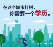 自考大专本科学历市场营销专业招生北京考试低学历可报