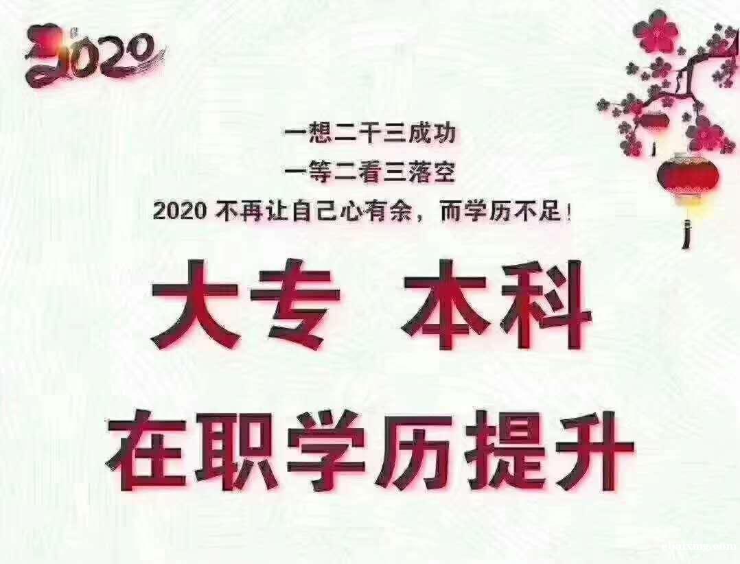 人力资源管理专业自考学历简单好考毕业快可专本套读 人力资源管理专业自考学历简单好考毕业快可专本套读
