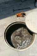 沌口郭徐岭广场店铺下水道堵了疏通,厨房管道堵塞疏通 沌口郭徐岭广场店铺下水道堵了疏通,厨房管道堵塞疏通