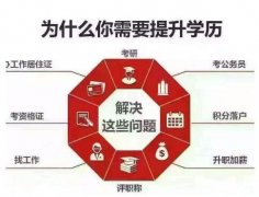 自考学历计算机专业财务管理自考本科助学考试通过率高