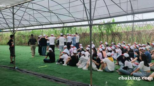 深圳龙岗附近专业拓展基地农家乐九龙生态园 深圳龙岗附近专业拓展基地农家乐九龙生态园
