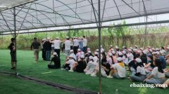 深圳龙岗附近专业拓展基地农家乐九龙生态园 深圳龙岗附近专业拓展基地农家乐九龙生态园