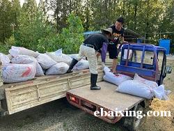 蚂蟥种苗水蛭价格多少钱水蛭养殖前景 蚂蟥种苗水蛭价格多少钱水蛭养殖前景