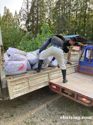 水蛭养殖项目怎样养水蛭蚂蟥回收 水蛭养殖项目怎样养水蛭蚂蟥回收