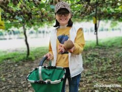长沙周边游哪里有既好玩又便宜的农家乐基地 长沙周边游哪里有既好玩又便宜的农家乐基地
