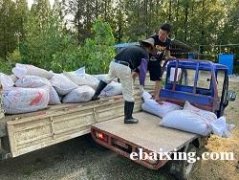 水蛭养殖提供技术蚂蟥养殖网箱水蛭怎么养殖 水蛭养殖提供技术蚂蟥养殖网箱水蛭怎么养殖