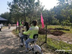 长沙有趣的自驾乡村游长沙好玩的农家乐旅游长沙团建拓展基地 长沙有趣的自驾乡村游长沙好玩的农家乐旅游长沙团建拓展基地