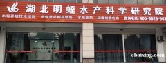 水蛭如何养殖螺蛳供应水蛭收购无忧 水蛭如何养殖螺蛳供应水蛭收购无忧