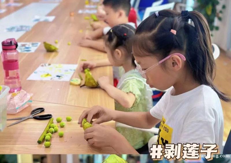 苏州少儿暑假夏令营赏千亩荷花人与自然探索体验营活动拓展报名中 苏州少儿暑假夏令营赏千亩荷花人与自然探索体验营活动拓展报名中