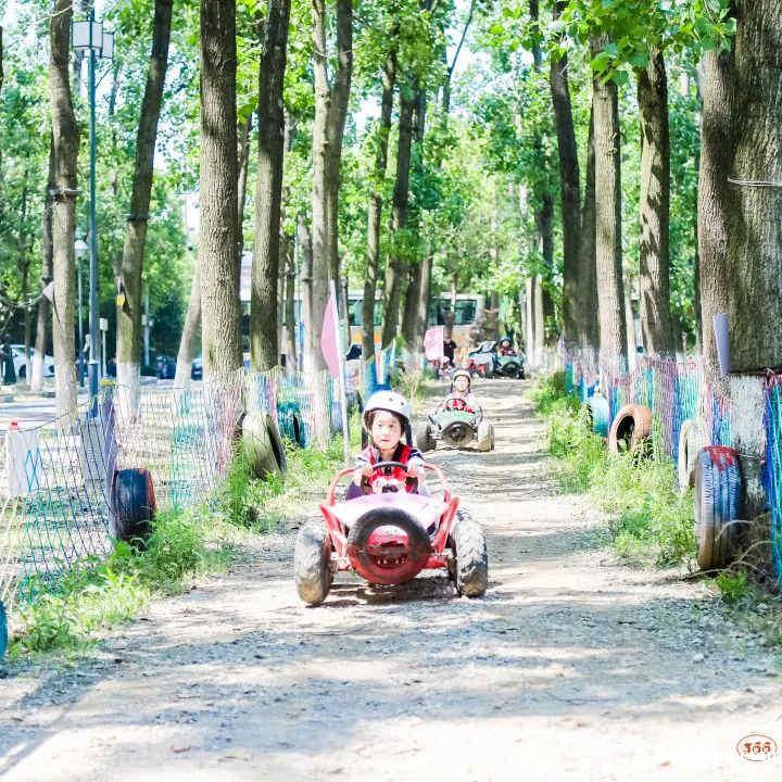 苏州青少年暑期夏令营丛林穿越户外拓展体育探索体验营活动报名中 苏州青少年暑期夏令营丛林穿越户外拓展体育探索体验营活动报名中