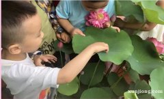 苏州少儿暑假夏令营赏千亩荷花人与自然探索体验营活动拓展报名中 苏州少儿暑假夏令营赏千亩荷花人与自然探索体验营活动拓展报名中