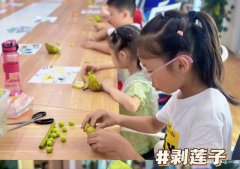 苏州少儿暑假夏令营赏千亩荷花人与自然探索体验营活动拓展报名中 苏州少儿暑假夏令营赏千亩荷花人与自然探索体验营活动拓展报名中